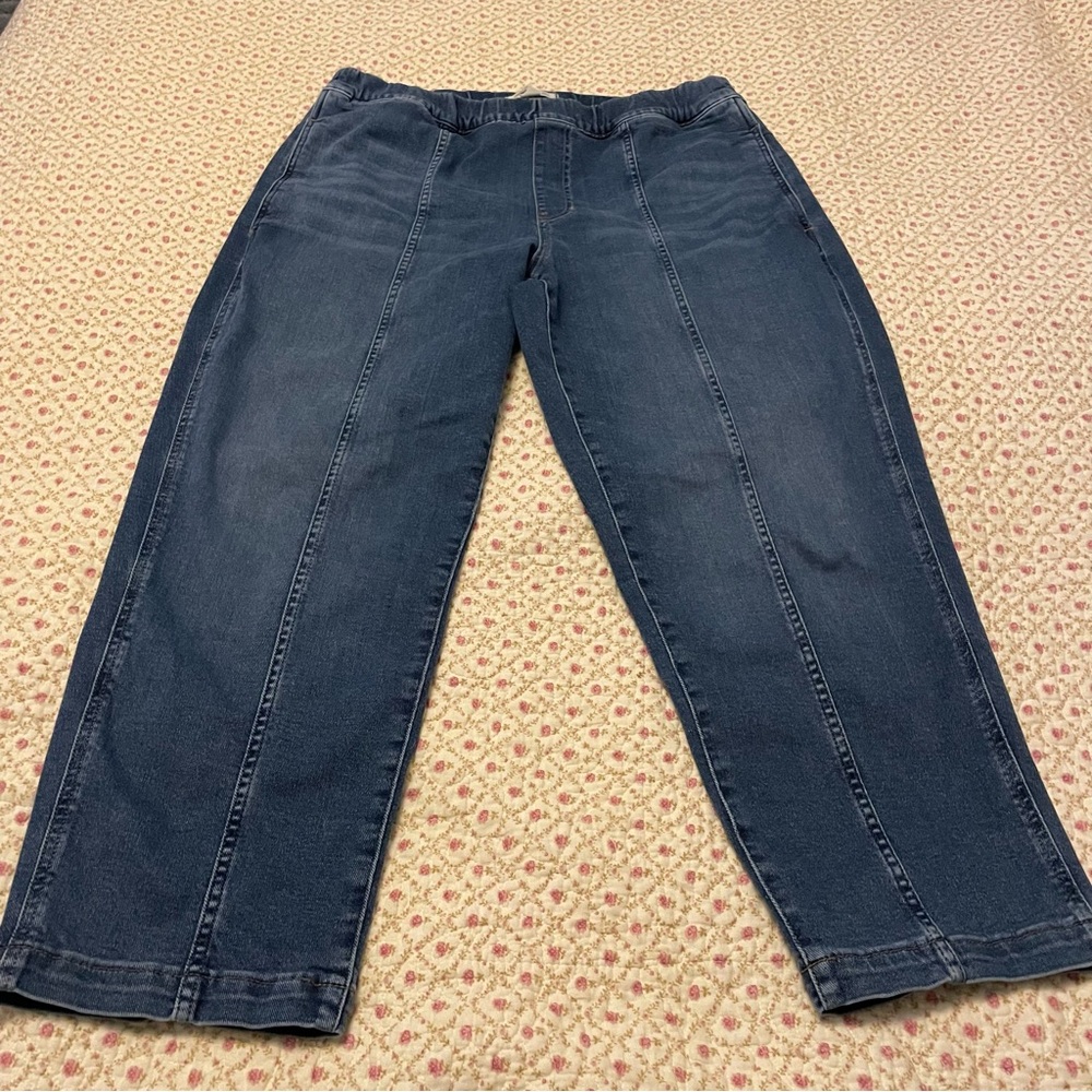 Madewell Pull-On Relaxed Jeans in Caville Wash Seamed   Women’s Size Large - Picture 12 of 15